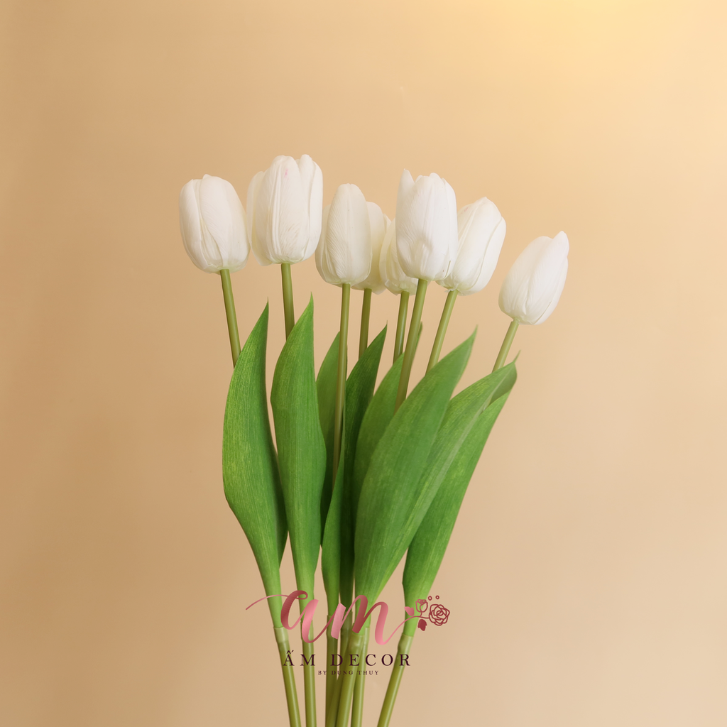 HOA TULIP RAFFIA (Trắng)