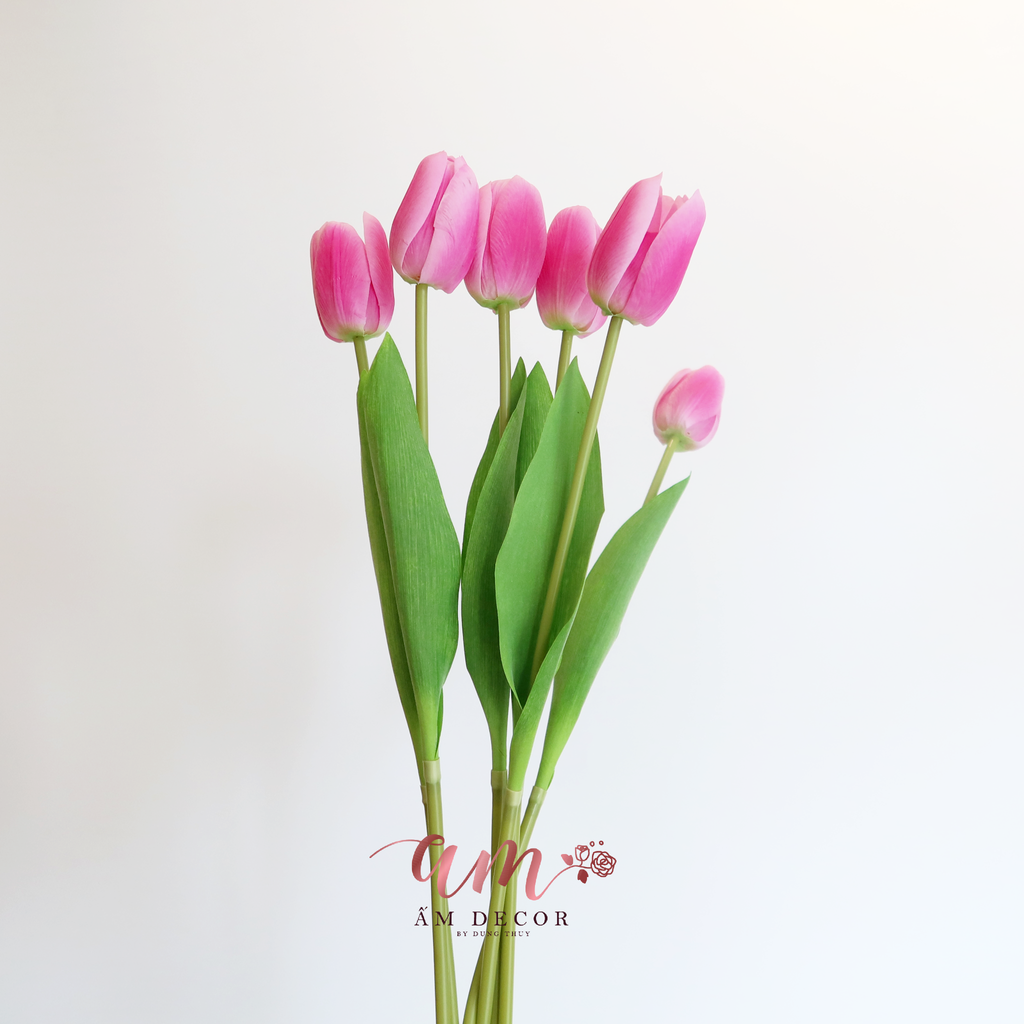 ZHOA TULIP RAFFIA (Hồng Sen)
