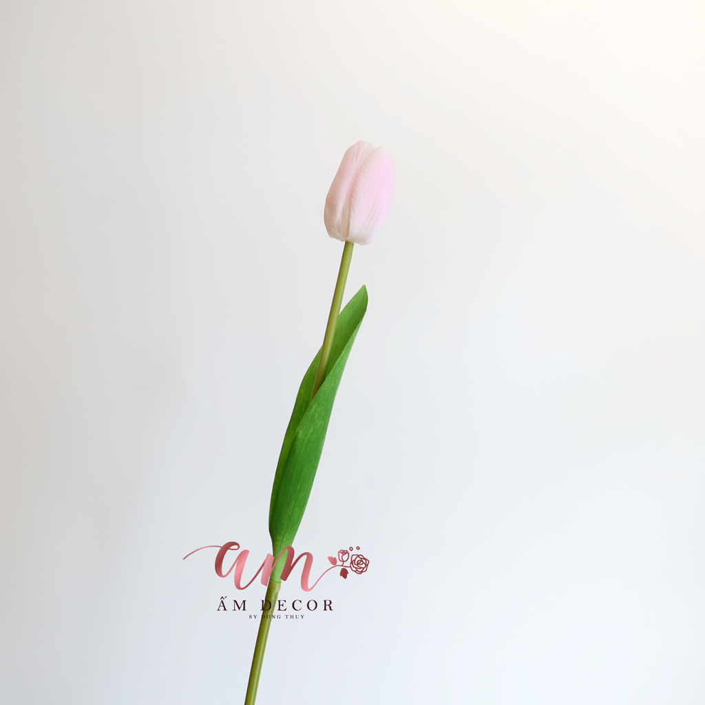HOA TULIP RAFFIA (Hồng Kem)