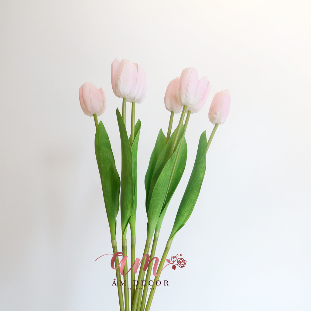 HOA TULIP RAFFIA (Hồng Kem)