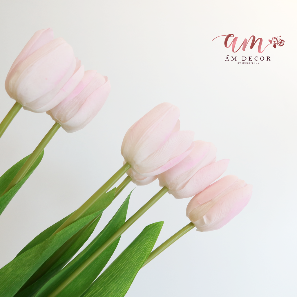 HOA TULIP RAFFIA (Hồng Kem)