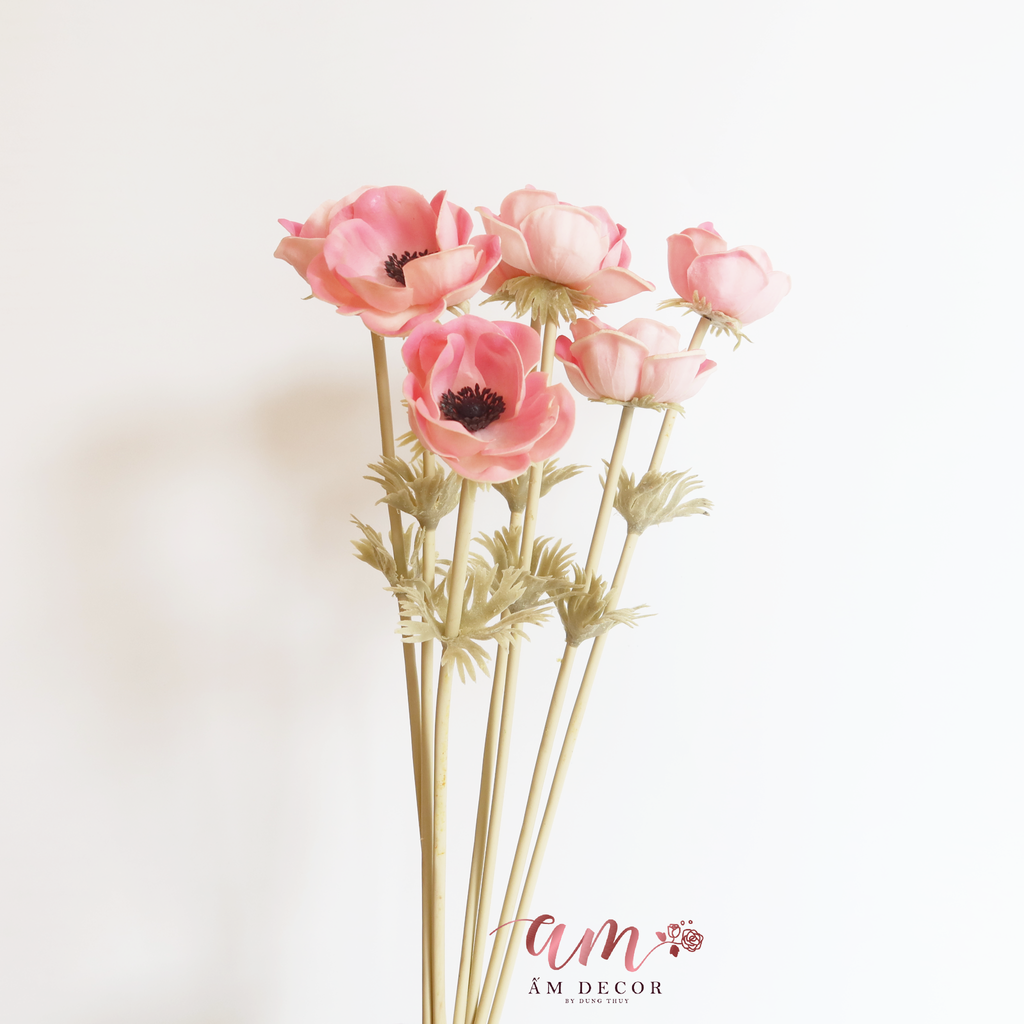 ZMAO LƯƠNG PU HỒNG