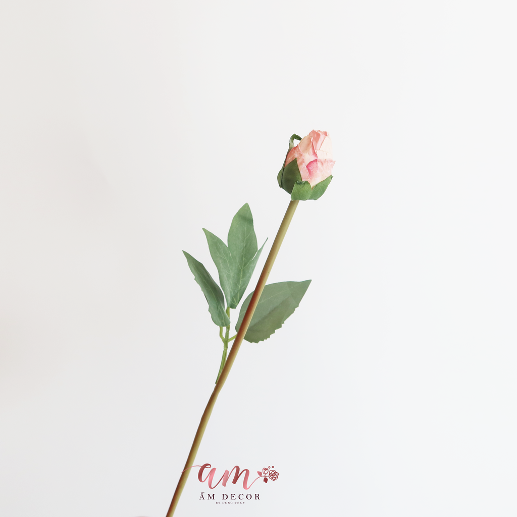 ZMẪU ĐƠN RETRO CÁNH NHĂN