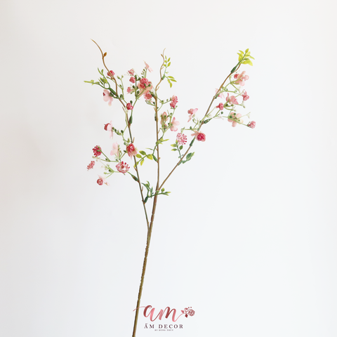  BABY BA NHÁNH ( Hồng ) 