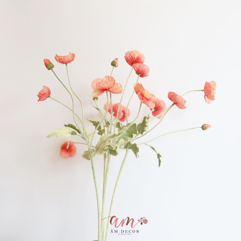  ANH TÚC ( Cam Hồng ) 