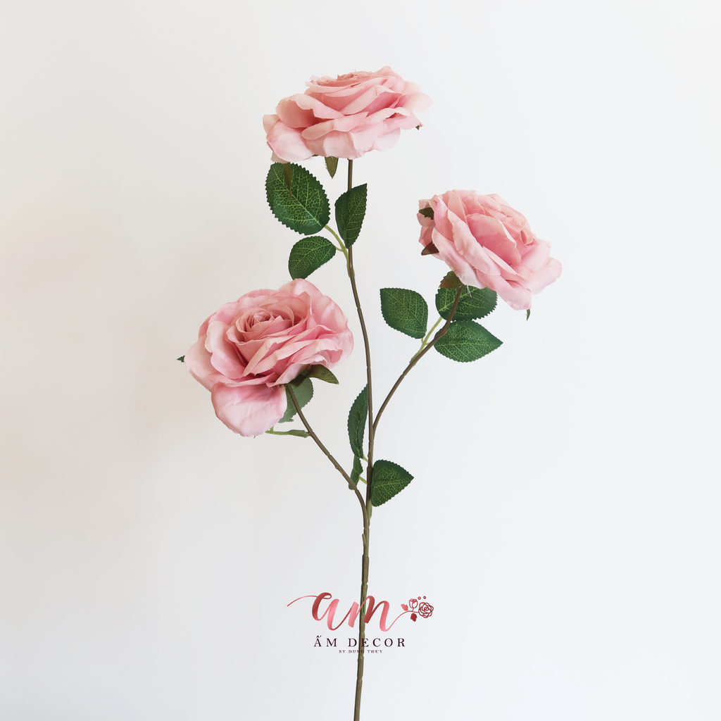 HOA HỒNG CÀNH NỞ BA BÔNG