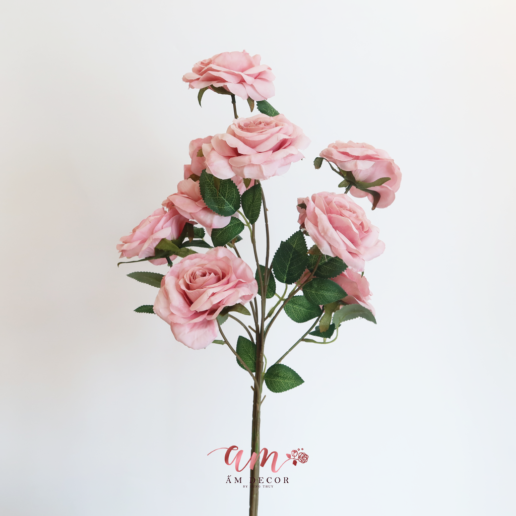 HOA HỒNG CÀNH NỞ BA BÔNG