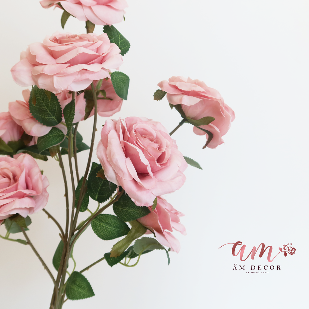 HOA HỒNG CÀNH NỞ BA BÔNG