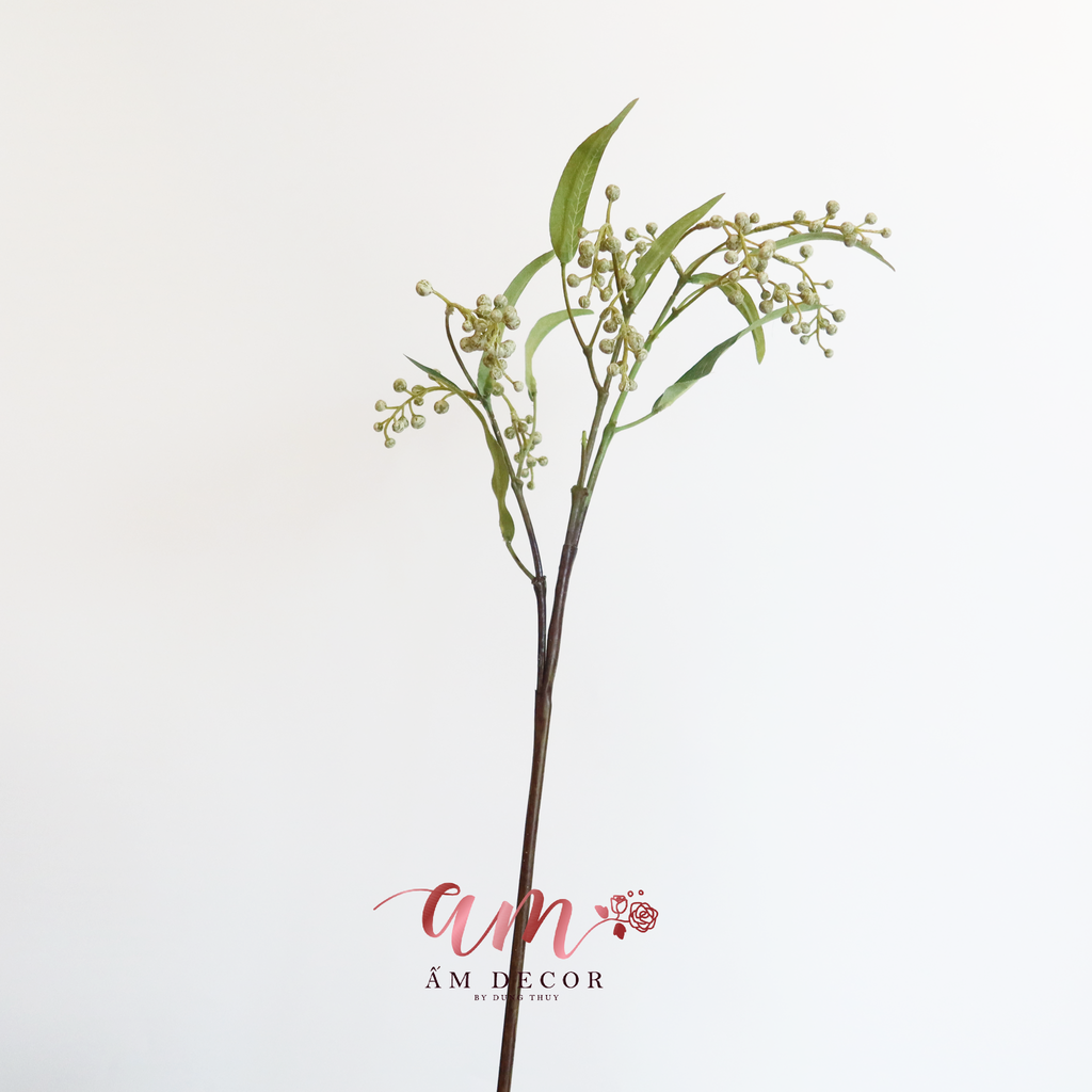 HOA ĐƠN QUẢ PHƯỢNG HOÀNG