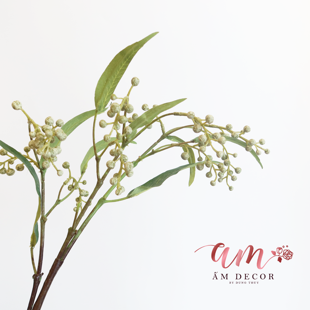 HOA ĐƠN QUẢ PHƯỢNG HOÀNG