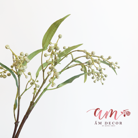  HOA ĐƠN QUẢ PHƯỢNG HOÀNG 