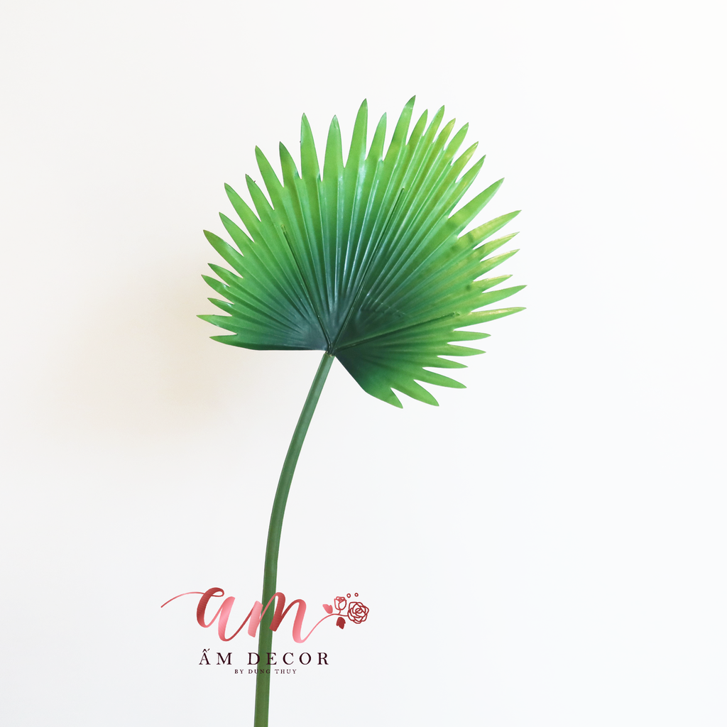 CÀNH CỌ LÁ NHỌN