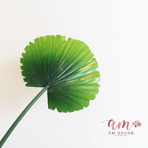  CÀNH CỌ LÁ NHỎ 