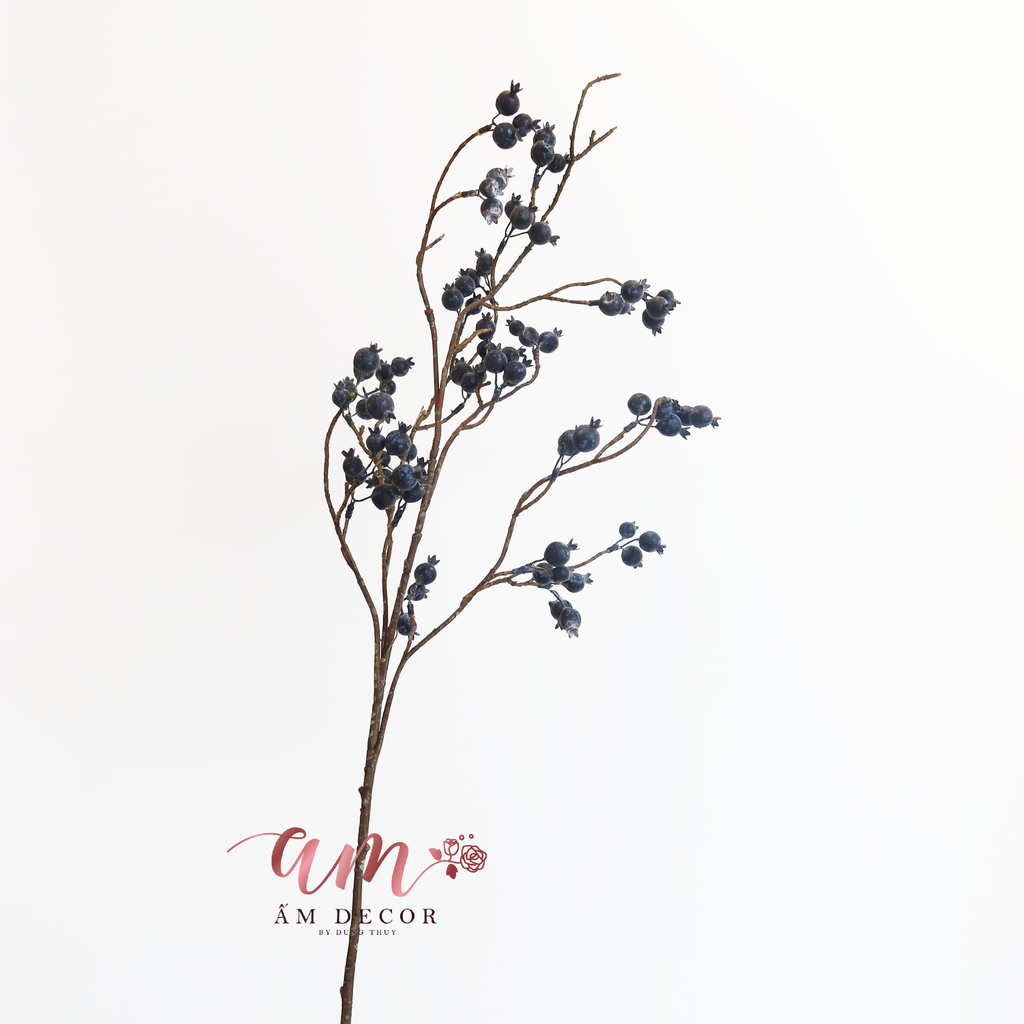 BLUEBERRY (Trái Việt Quất)