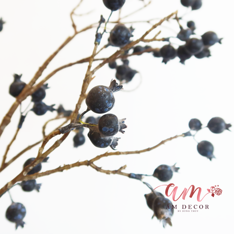  BLUEBERRY (Trái Việt Quất) 