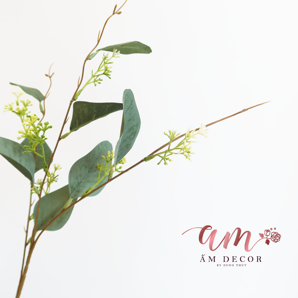 MILANO BẠCH ĐÀN (Xanh)