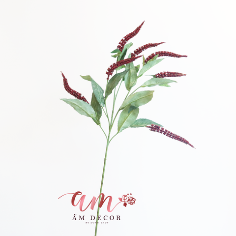  CÀNH OẢI HƯƠNG (Đỏ) 