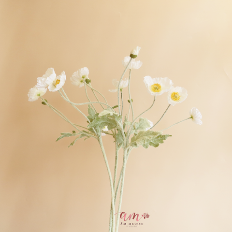  ANH TÚC ( Trắng ) 