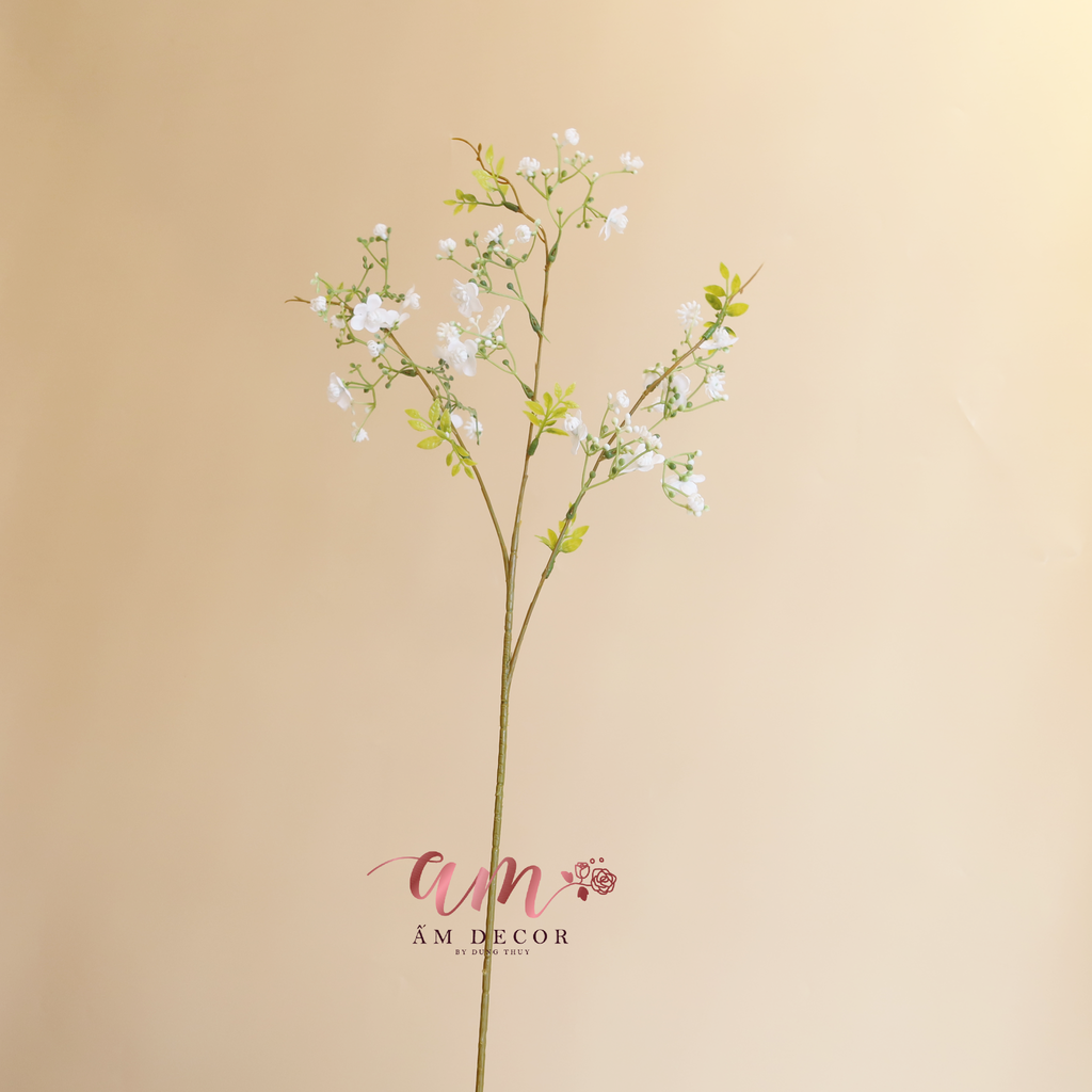 ZBABY BA NHÁNH (Trắng)