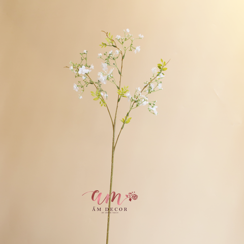  BABY BA NHÁNH (Trắng) 