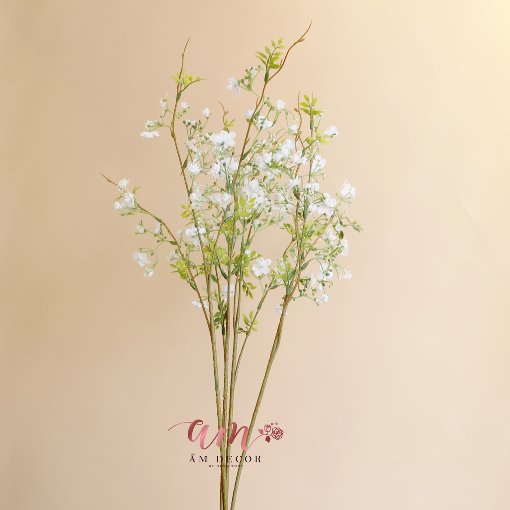 ZBABY BA NHÁNH (Trắng)