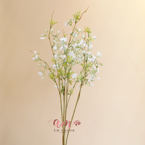  BABY BA NHÁNH (Trắng) 