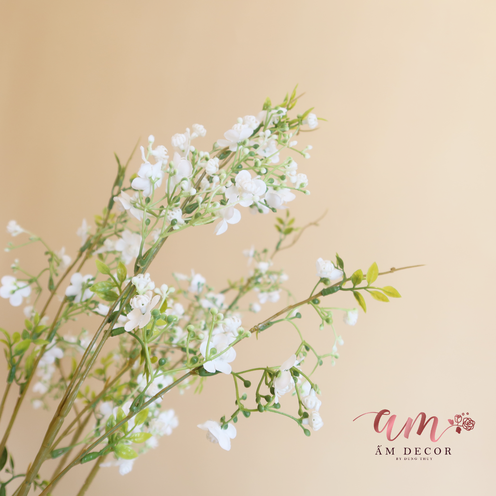 ZBABY BA NHÁNH (Trắng)