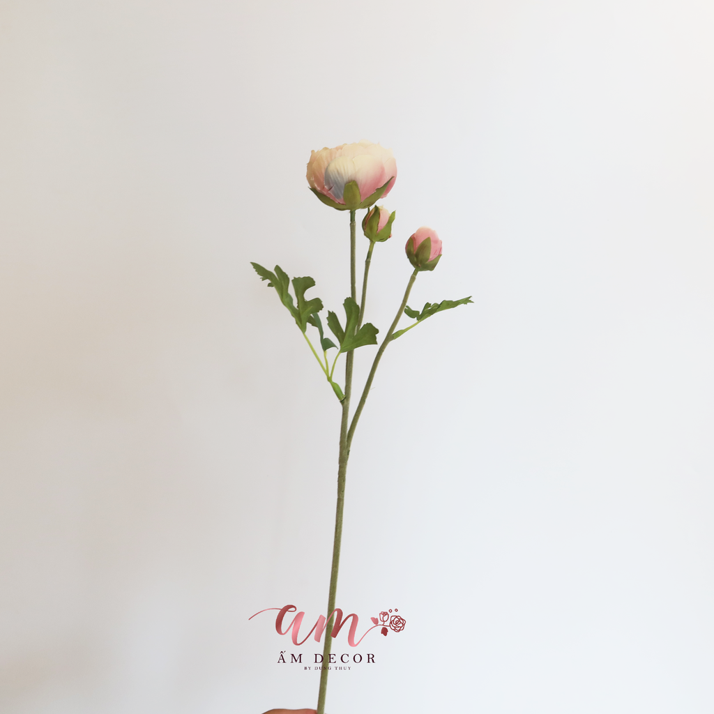 ZMAO LƯƠNG LULIAN (Nâu)