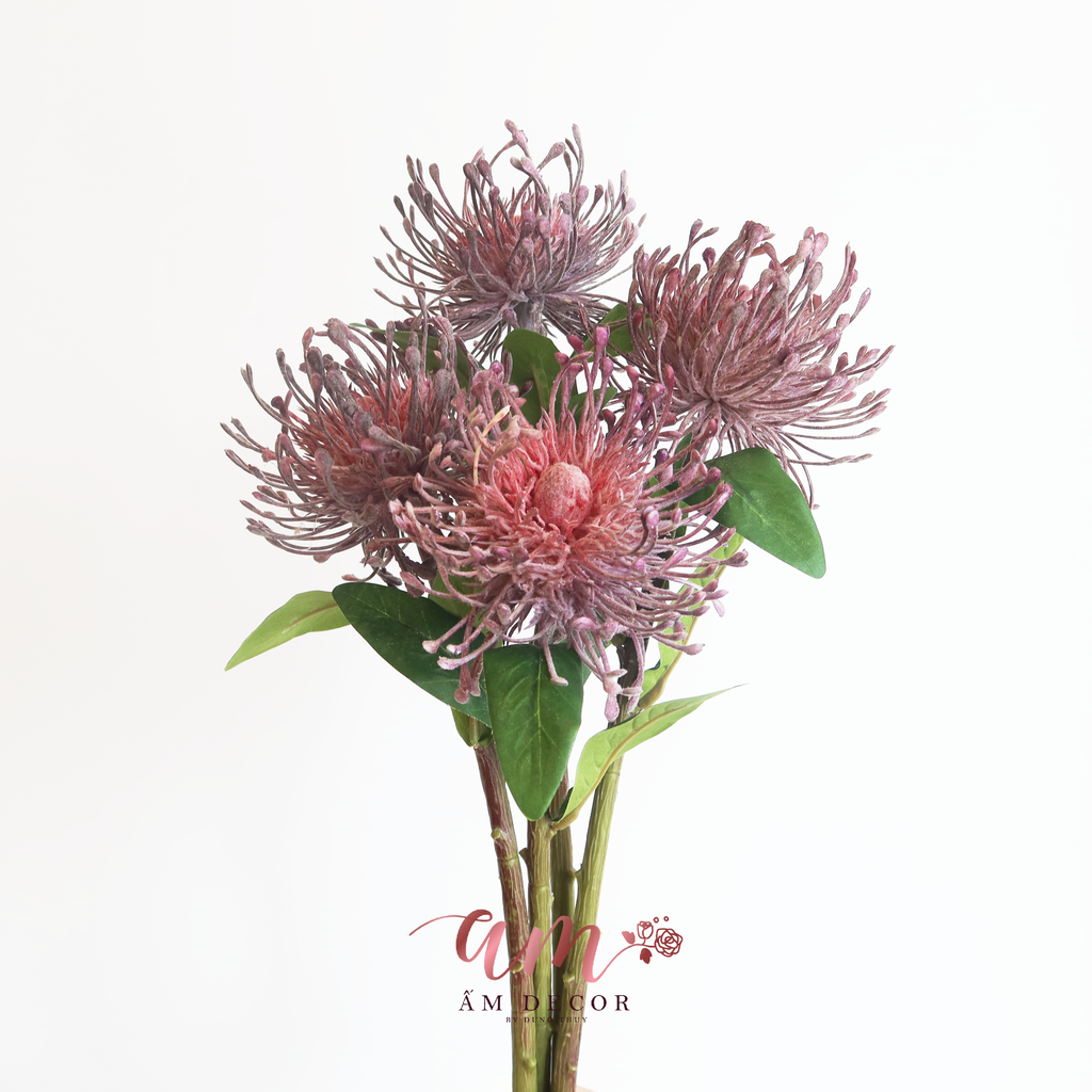 ZTHẢO ĐƯỜNG SAN HÔ