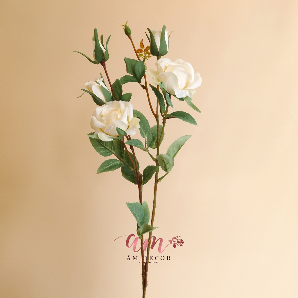 ZCÀNH HỒNG CÁNH NHỎ (Kem)