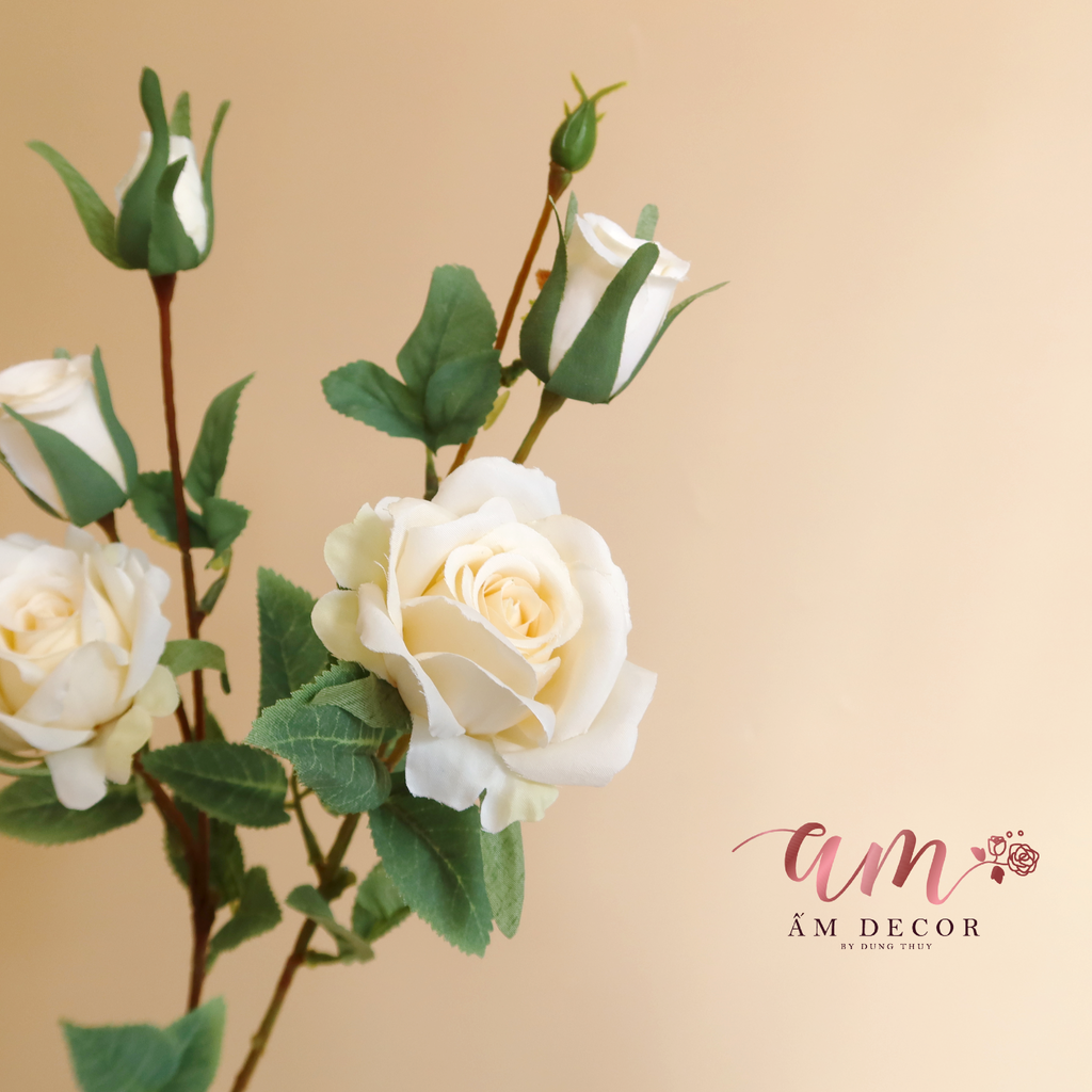 ZCÀNH HỒNG CÁNH NHỎ (Kem)