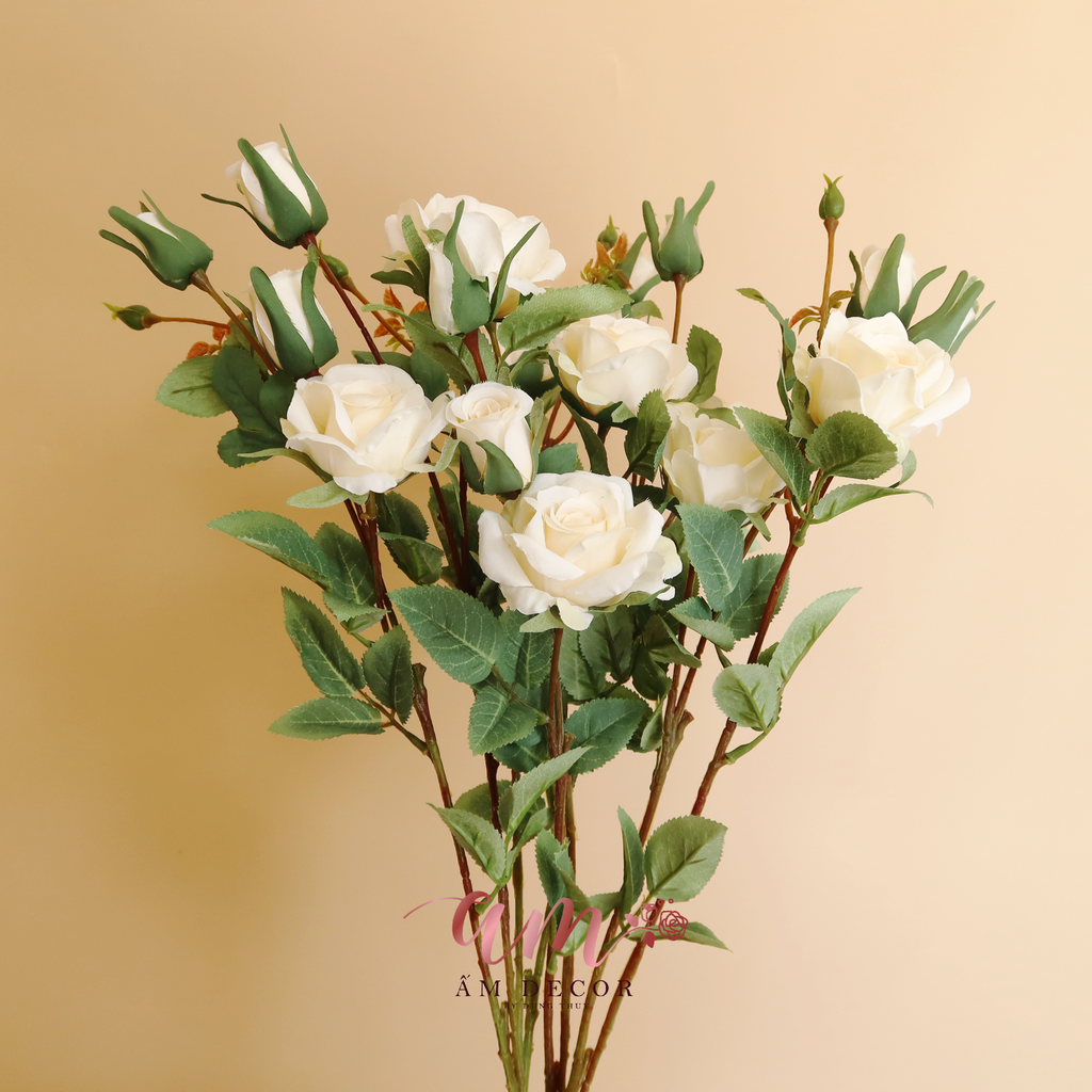 ZCÀNH HỒNG CÁNH NHỎ (Kem)