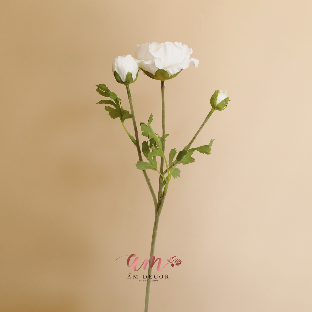 ZMAO LƯƠNG LULIAN (Trắng)