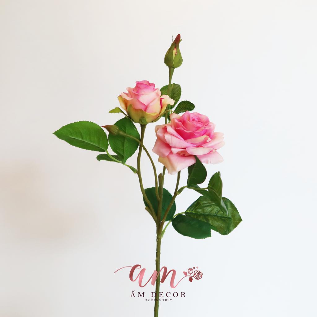 CÀNH HOA HỒNG SỪNG GIỮ ẨM (Hồng Đậm)