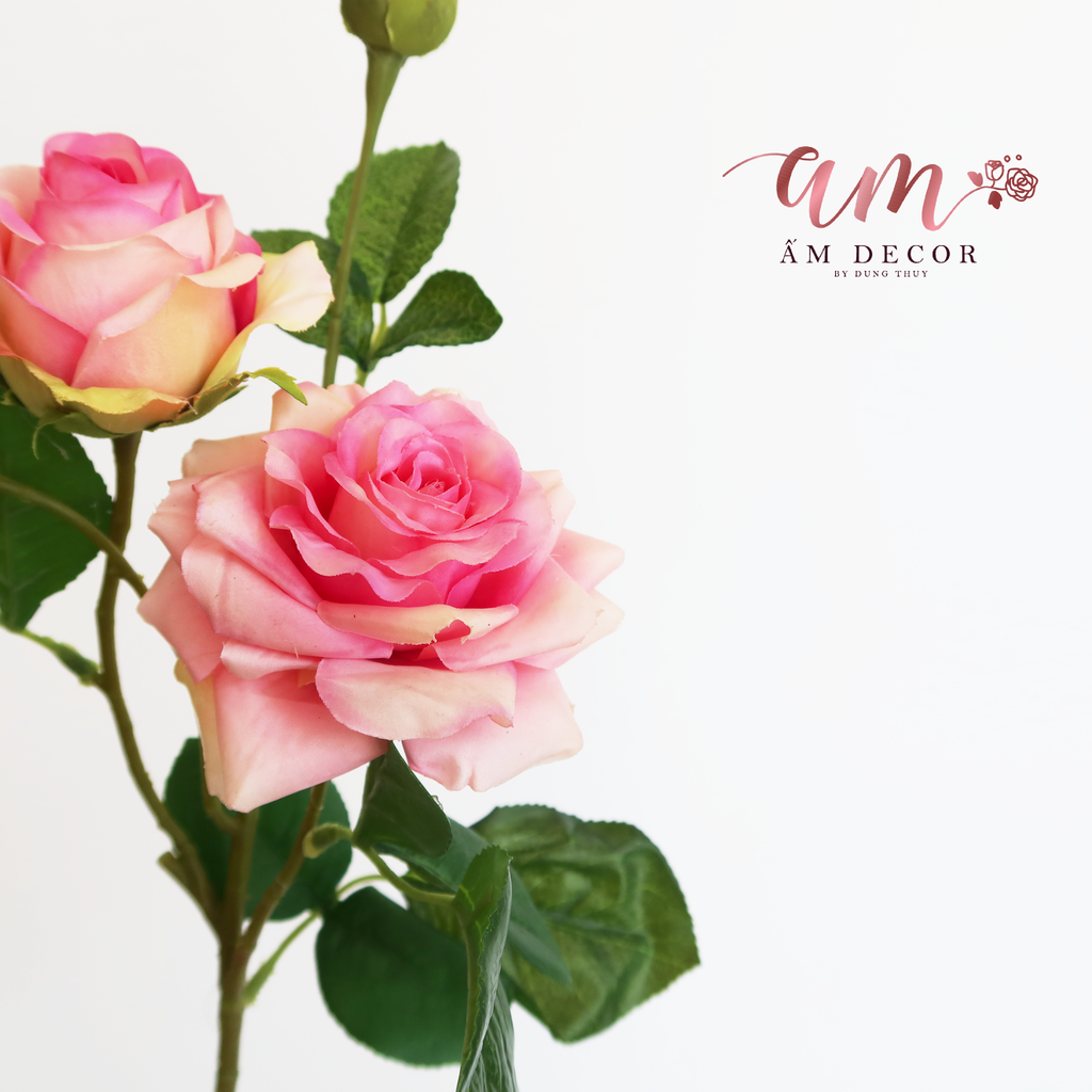 CÀNH HOA HỒNG SỪNG GIỮ ẨM (Hồng Đậm)