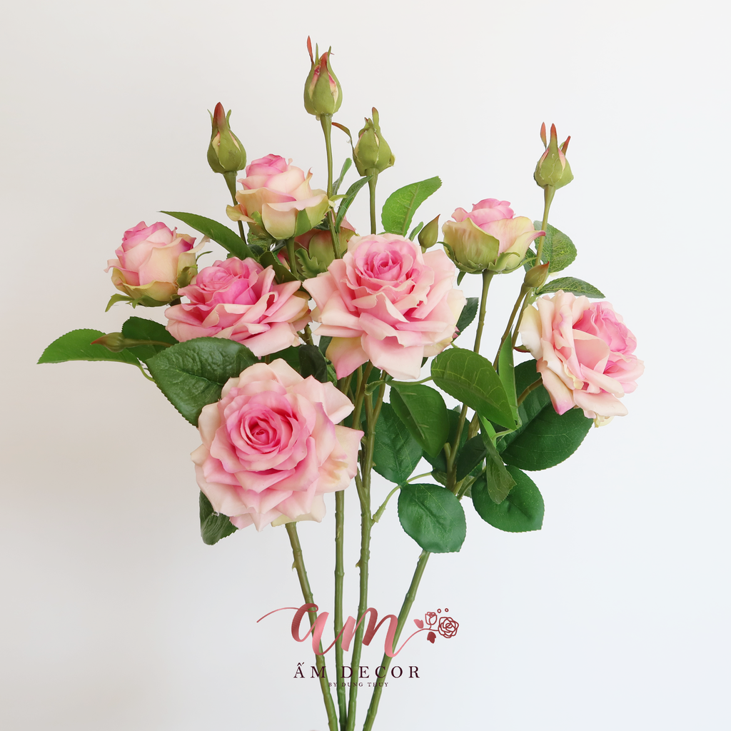 CÀNH HOA HỒNG SỪNG GIỮ ẨM (Hồng Đậm)