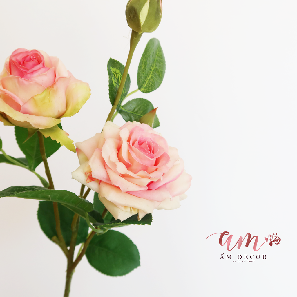 ZCÀNH HOA HỒNG SỪNG GIỮ ẨM (Hồng Nhạt)