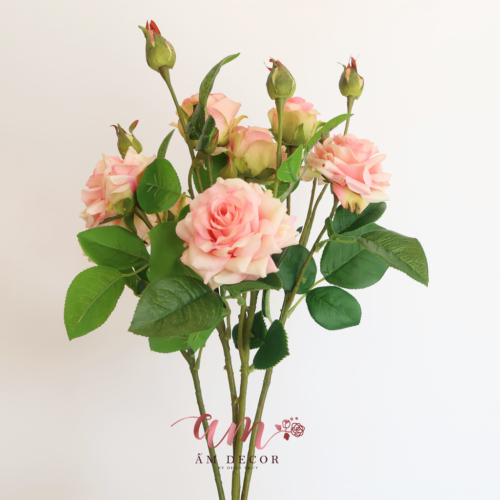 ZCÀNH HOA HỒNG SỪNG GIỮ ẨM (Hồng Nhạt)