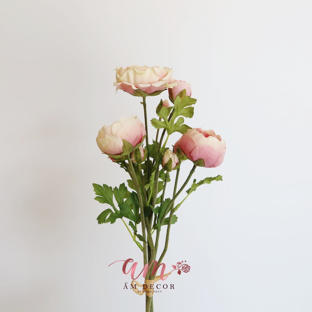 ZMAO LƯƠNG LULIAN (Nâu)