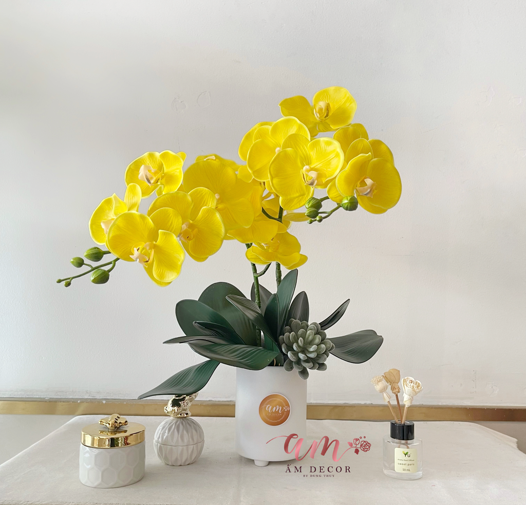 SAMPLE BONSAI LEMON ORCHID