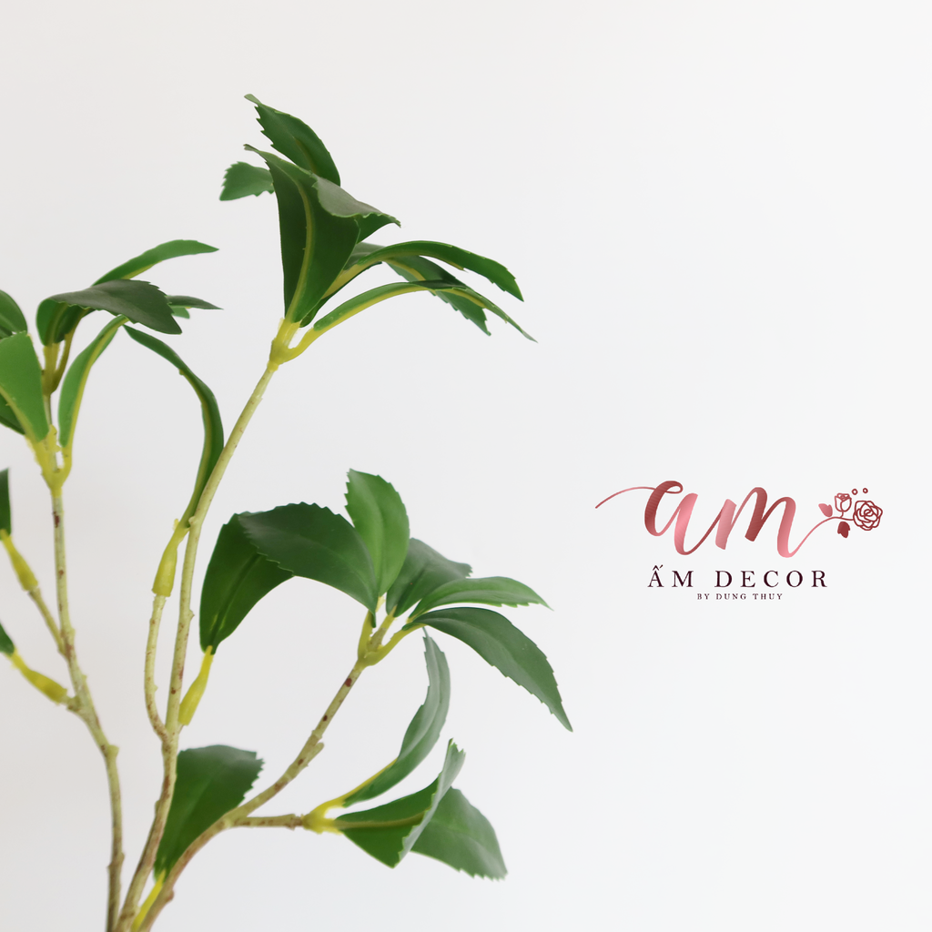 NHÁNH LÁ GỖ NGỰA SAY