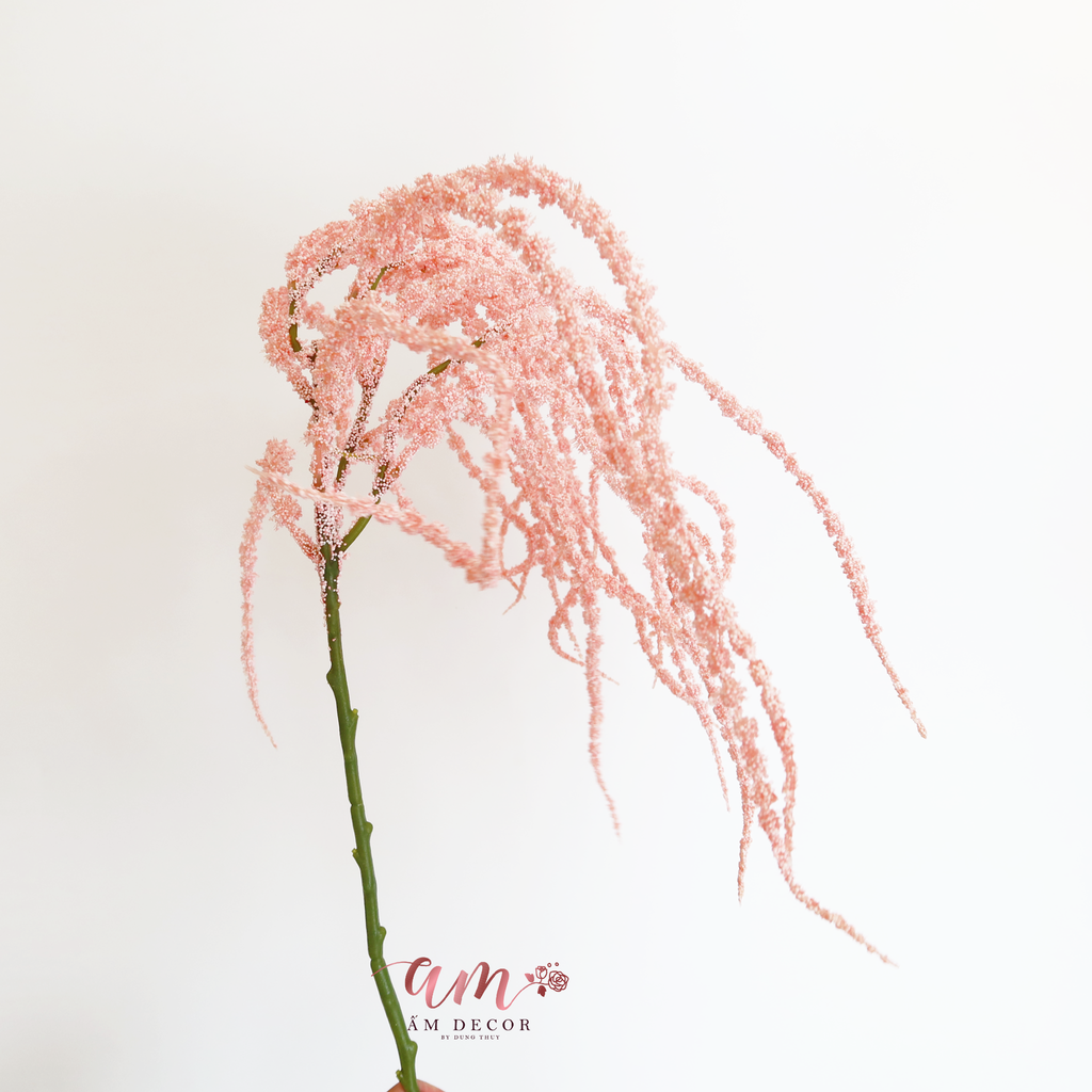 CÀNH SỢI LÁ RỦ