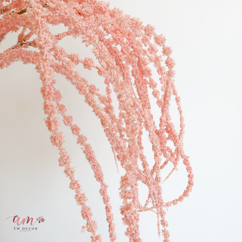 CÀNH SỢI LÁ RỦ