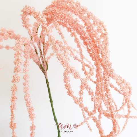  CÀNH SỢI LÁ RỦ 