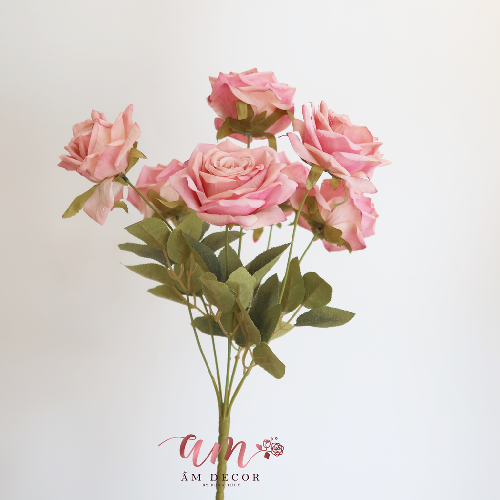 ZCHÙM HỒNG CÁNH NHỌN NỞ ( Hồng Đậm )