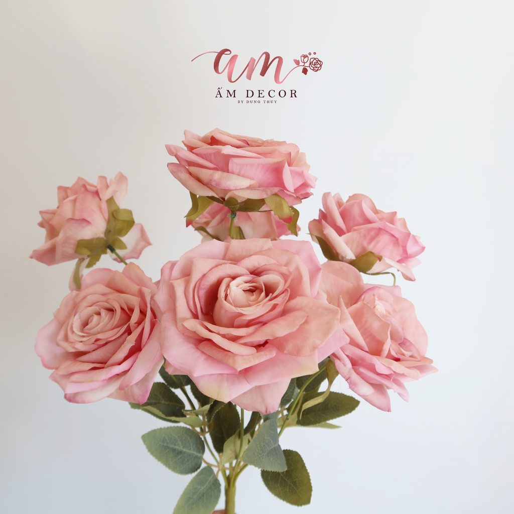 ZCHÙM HỒNG CÁNH NHỌN NỞ ( Hồng Đậm )