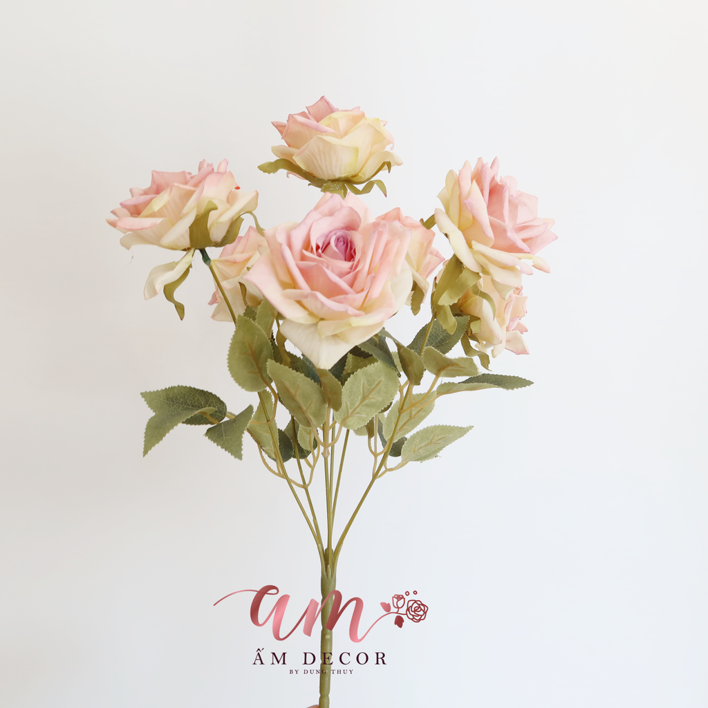 ZCHÙM HỒNG CÁNH NHỌN NỞ ( Hồng Nâu )