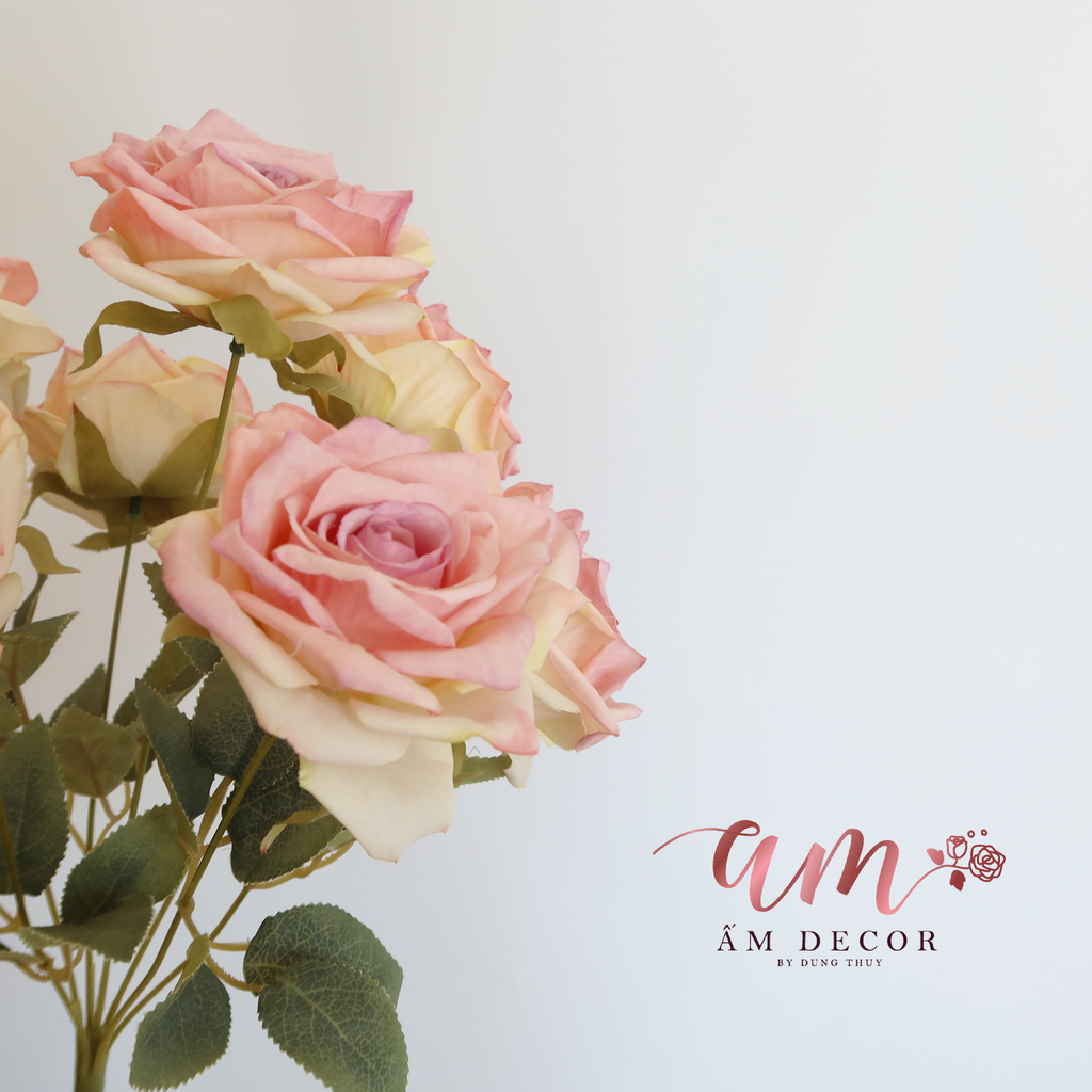 ZCHÙM HỒNG CÁNH NHỌN NỞ ( Hồng Nâu )