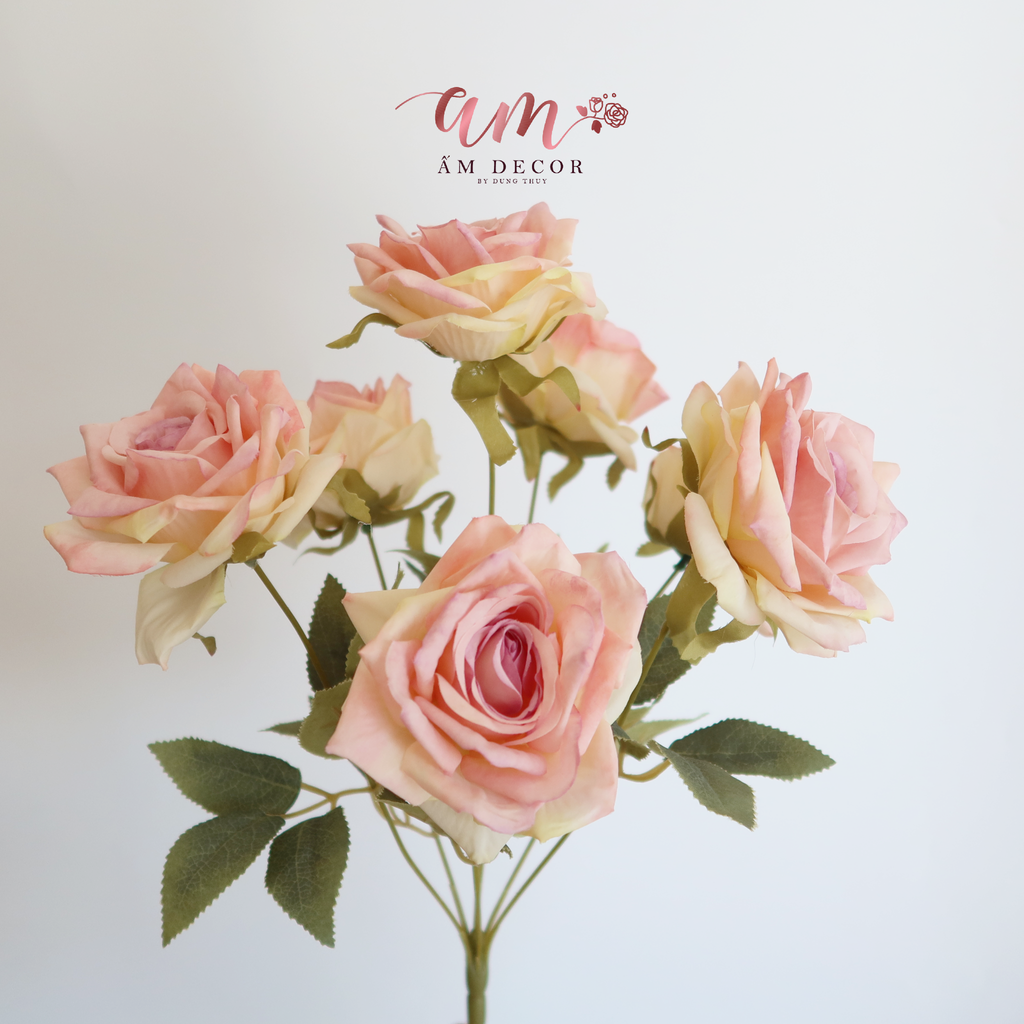 ZCHÙM HỒNG CÁNH NHỌN NỞ ( Hồng Nâu )