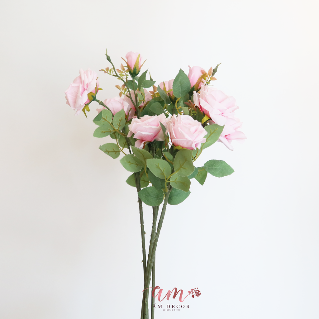 CÀNH HỒNG NỞ